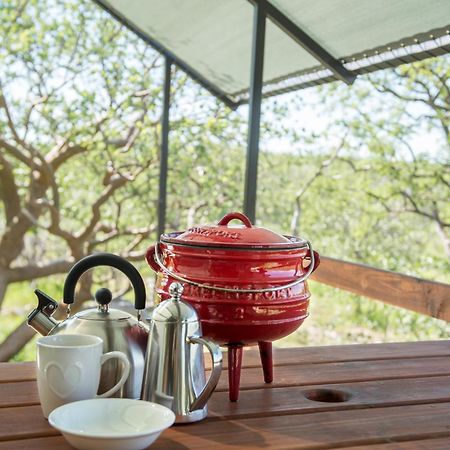 Etosha Safari Camping2Go أوكاوكويجو الغرفة الصورة