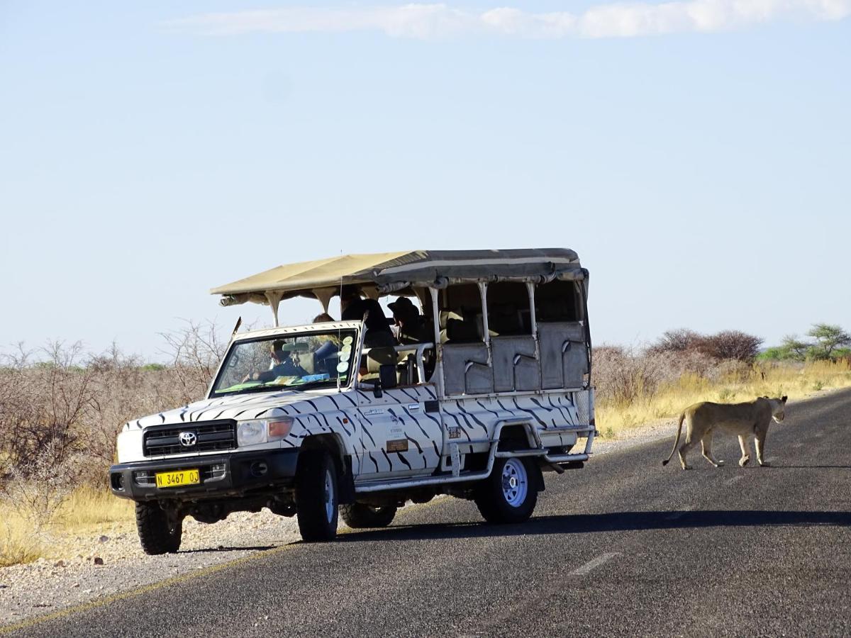 Etosha Safari Camping2Go أوكاوكويجو المظهر الخارجي الصورة