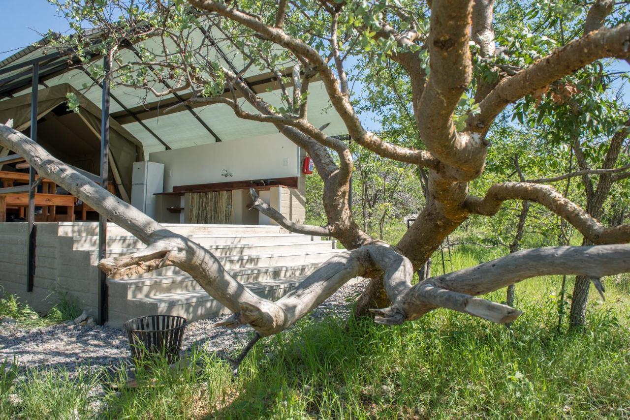 Etosha Safari Camping2Go أوكاوكويجو المظهر الخارجي الصورة